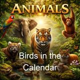 Birds in the Calendar - Frederick G Aflalo