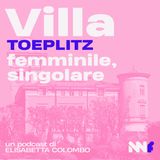 VILLA TOEPLITZ, Varese