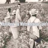 What About The White American Slave