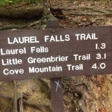 Around the World: Walking Laurel Falls Trail Smokey Mountains