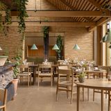René Redzepi Resigns From Noma Amid Abuse Allegations