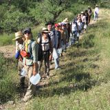 Border Patrol Ordered to Negotiate with Illegal Immigrants in Arizona +