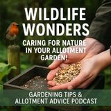 🎧 Wildlife Wonders: Caring for Nature in Your Allotment Garden! | Gardening Tips & Allotment Advice Podcast