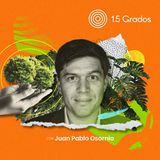 Un fondo para el futuro de los bosques