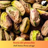 Storia del pistacchio: dall’Antica Persia ad oggi