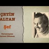 Çetin Altan - Şef