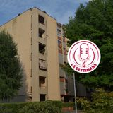 Popolari sì, ma possibilmente senza topi - La settimana, 8 luglio 2025