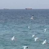 Iran-Usa: ancora stallo su Hormuz. Araqchi: “No colloqui in corso con Usa”