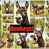 Donkeys!- From Stubborn to Lovable- A Guide to Your Endearing Equine Friends