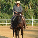# 59 - Cavallo che si blocca come paralizzato