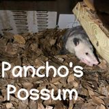 College Kids Cheat AND Apologize With AI, Duckfaced Woman On A Roller Coaster, and Nutmaxxing