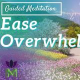 Taming Overwhelm Meditation_ Finding Resilience Within _ Mindful Movement