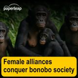 Female alliances conquer bonobo society