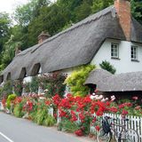 Thatched Cottages