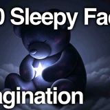 Your Imagination is More Powerful Than You Think