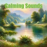 Calming Sounds - 1 HR Cricket Sounds Podcast for Deep Relaxation