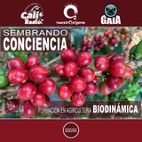 NUESTRO OXÍGENO Sembrando conciencia, formación en agricultura biodinámica