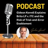 Gideon Korrell Explains Brita LP v. ITC and the Risk of Trial-and-Error Enablement