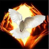 Spirit Alive Praise And Worship: Bonafide; The Heat Is On!