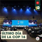 Todo lo que puede pasar el último día de la COP16