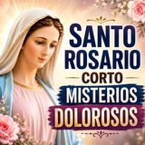 Santo Rosario de Hoy | Misterios Dolorosos por los Enfermos y quienes Sufren