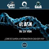 NUESTRO OXÍGENO El ADN de la vida ¿como se guarda la información en cada ser vivo