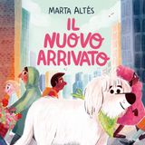 Il nuovo arrivato