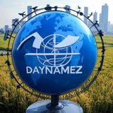 Daynamez: Making Global Transportation Simple for U.S. Businesses