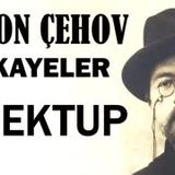 Mektup  Anton Çehov Hikayeler sesli kitap tek parça seslendiren