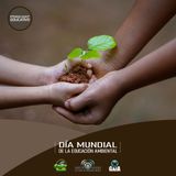 NUESTRO OXÍGENO Día mundial de la educación ambiental