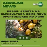 Agrolink News - Destaques do dia 06 de janeiro
