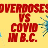 OVERDOSES VS COVID IN BC, CANADA