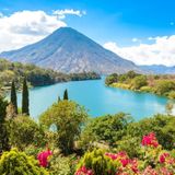 02 La creazione di pesci piante e animali