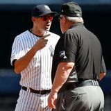 Out of Left Field:  Injuries and bad news for the Yankees, who should be the Padres new manager and much more
