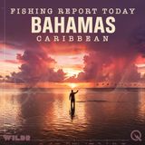 Bahamas Fishing Fire: Bones, Permit, and Offshore Pelagics This Morning