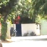 12305 St Helena's Famous Resident