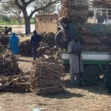 L’accès au combustible devient difficile à Ayorou(La semaine sur Kalangou)