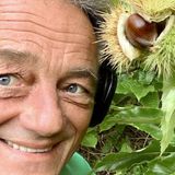 Belästigungen #28 - Das grüne Ende der Politik