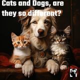 Cats and Dogs, are they so different