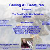 Calling All Creatures Presents The Bald Eagle, Our American Symbol
