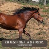 Koń przyspiesza - Jak go uspokoić - fragment live 269