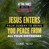 Jesus Enters Palm Sunday to Bring You Peace from All Your Distresses