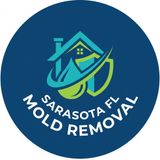 5 Important Things to Know About Mold Removal