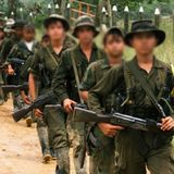 ¿Por qué las guerrillas persisten?