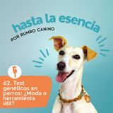 Test genéticos en perros: ¿Moda o herramienta útil?