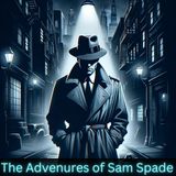 Sam Spade - The Battles Of Belvedere