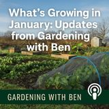 🎧 🌱 What’s Growing in January | Updates from Gardening with Ben