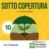 Ci pensa lo Stato