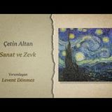 Çetin Altan   Sanat ve Zevk