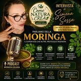 La Moringa, il superfood con i suoi 92 nutrienti, 46 antiossidanti, 18 aminoacidi, proteine e molecole biologicamente attive